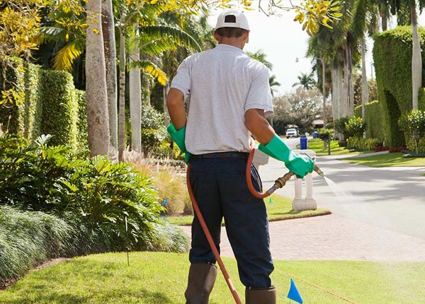 About East Windsor CT Pest Control